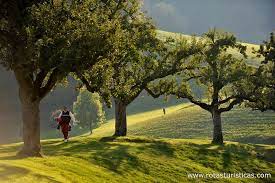 Emmental-Domaine du Brésil